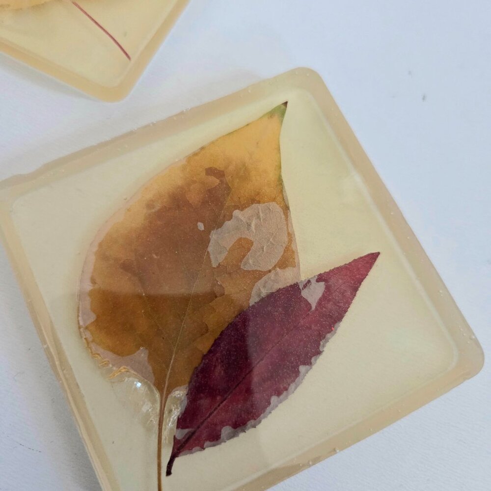 Set of 4 vintage handmade Lucite coasters with dry pressed leaves. - Picture 3 of 8